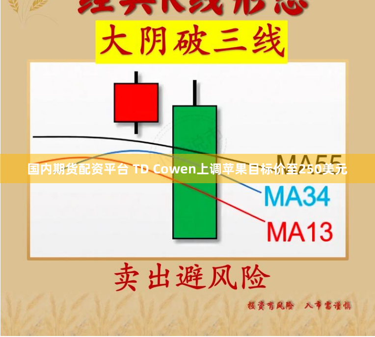 国内期货配资平台 TD Cowen上调苹果目标价至250美元