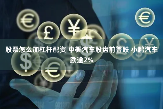 股票怎么加杠杆配资 中概汽车股盘前普跌 小鹏汽车跌逾2%