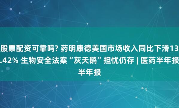 股票配资可靠吗? 药明康德美国市场收入同比下滑13.42% 生物安全法案“灰天鹅”担忧仍存 | 医药半年报