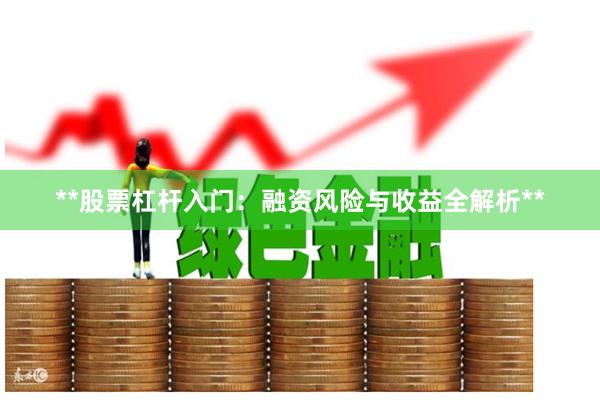**股票杠杆入门：融资风险与收益全解析**